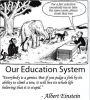 Education system.PNG
