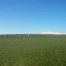 Grassnslurry