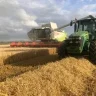Mf310