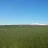 Grassnslurry